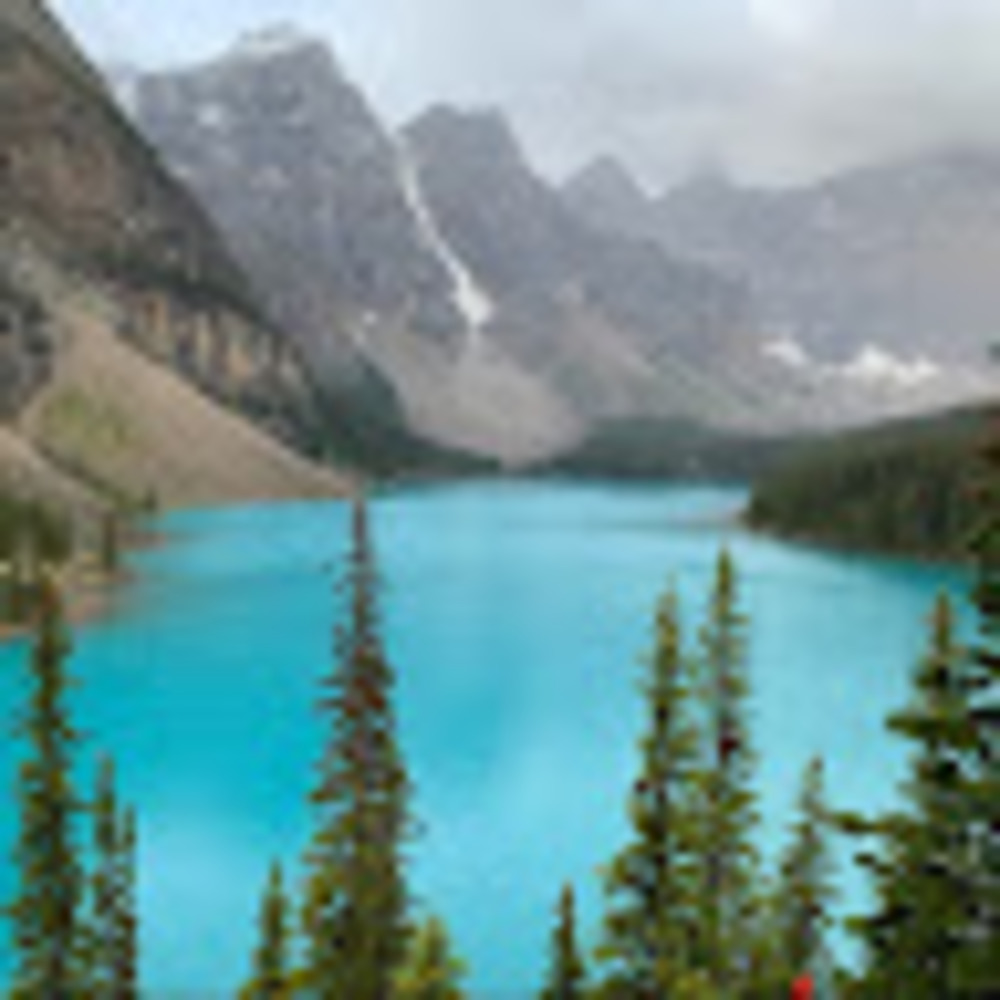 Meet your Posher, Elaine